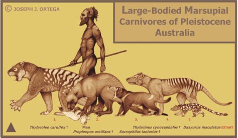 Ursotherium! Een prehistorisch zoogdier dat op de grens stond tussen carnivoor en herbivoor?